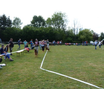 Foto: Stefan Lehnert