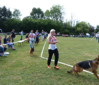 Foto: Stefan Lehnert