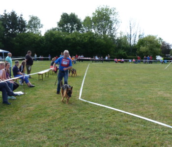 Foto: Stefan Lehnert