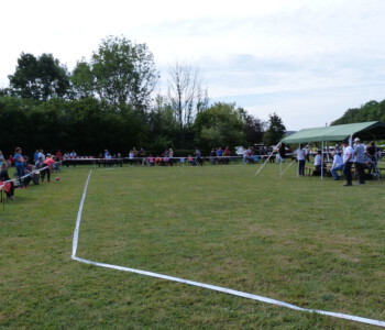 Foto: Stefan Lehnert