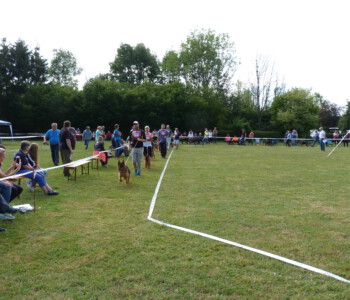 Foto: Stefan Lehnert