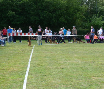 Foto: Stefan Lehnert