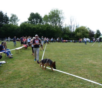 Foto: Stefan Lehnert