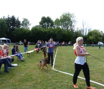 Foto: Stefan Lehnert