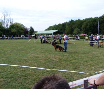 Foto: Stefan Lehnert