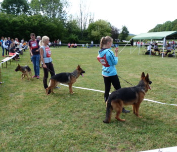 Foto: Stefan Lehnert