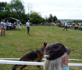 Foto: Stefan Lehnert