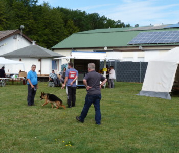 Foto: Stefan Lehnert