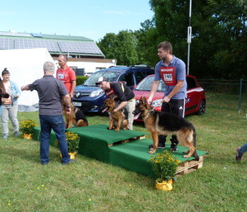 Foto: Stefan Lehnert