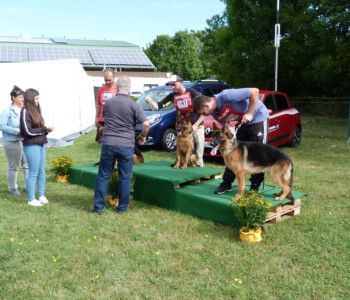 Foto: Stefan Lehnert