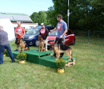 Foto: Stefan Lehnert