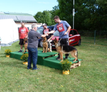 Foto: Stefan Lehnert