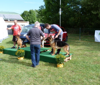 Foto: Stefan Lehnert