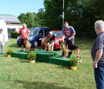 Foto: Stefan Lehnert