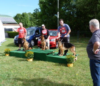 von links nach rechts VV 2 Zora di Casa El-Ma, VV 1 Greenveldt Minnie, VV 3 Silvia Yugerschof