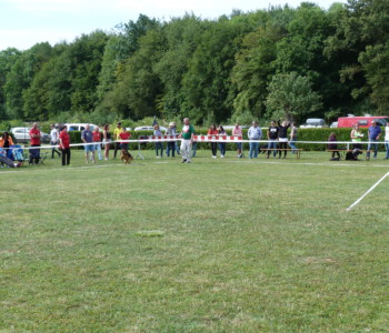 Foto: Stefan Lehnert