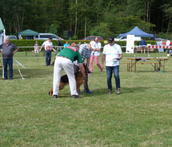 Foto: Stefan Lehnert