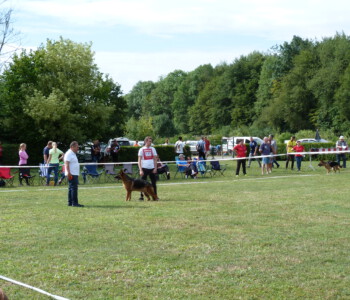 Foto: Stefan Lehnert
