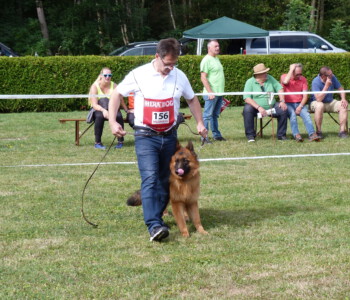 Foto: Stefan Lehnert