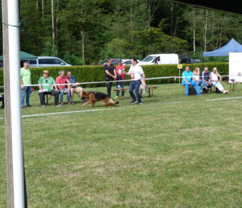 Foto: Stefan Lehnert