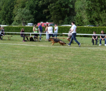 Foto: Stefan Lehnert