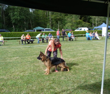 Foto: Stefan Lehnert