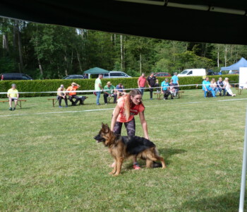 Foto: Stefan Lehnert