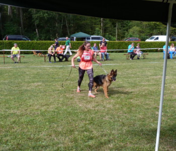 Foto: Stefan Lehnert