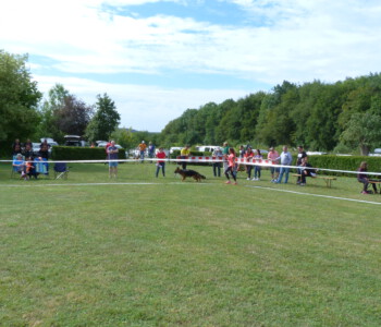 Foto: Stefan Lehnert