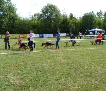 Foto: Stefan Lehnert