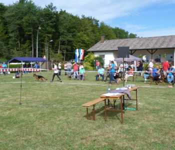 Foto: Stefan Lehnert