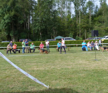 Foto: Stefan Lehnert