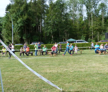 Foto: Stefan Lehnert