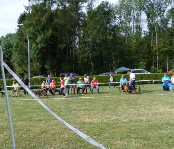 Foto: Stefan Lehnert