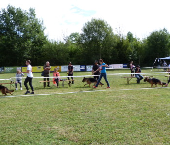 Foto: Stefan Lehnert