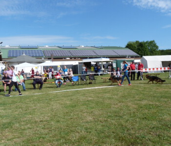 Foto: Stefan Lehnert