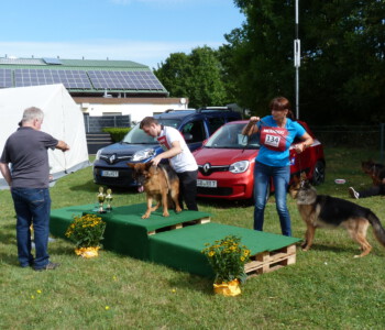 Foto: Stefan Lehnert