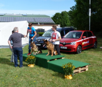 von links nach rechts VE Oman vom Drei Birkenzwinger, VV Oussmann du Val d'Anzin