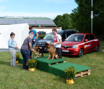 Foto: Stefan Lehnert