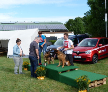 Foto: Stefan Lehnert