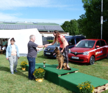 Foto: Stefan Lehnert