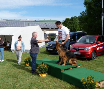 Foto: Stefan Lehnert