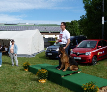 VV 1 Zibu von der Lawallsgass