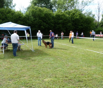 Foto: Stefan Lehnert