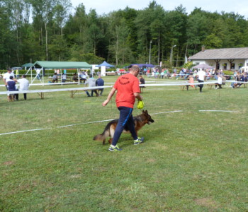 Foto: Stefan Lehnert