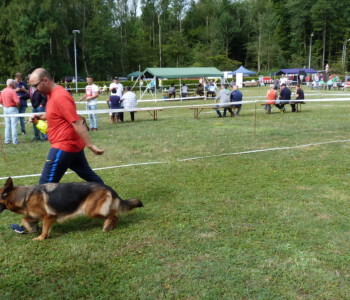 Foto: Stefan Lehnert