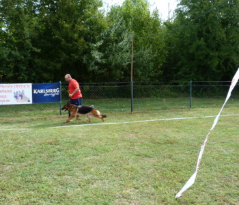 Foto: Stefan Lehnert