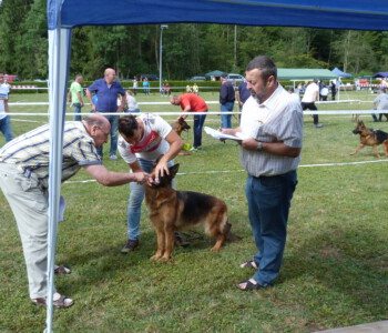 Foto: Stefan Lehnert