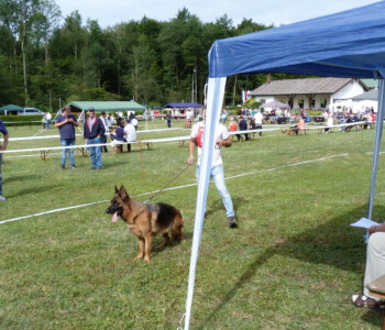 Foto: Stefan Lehnert