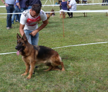 Foto: Stefan Lehnert